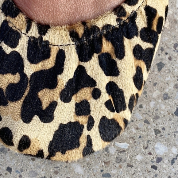 Storehouse Flats: Wild Side - Picture 3 of 3